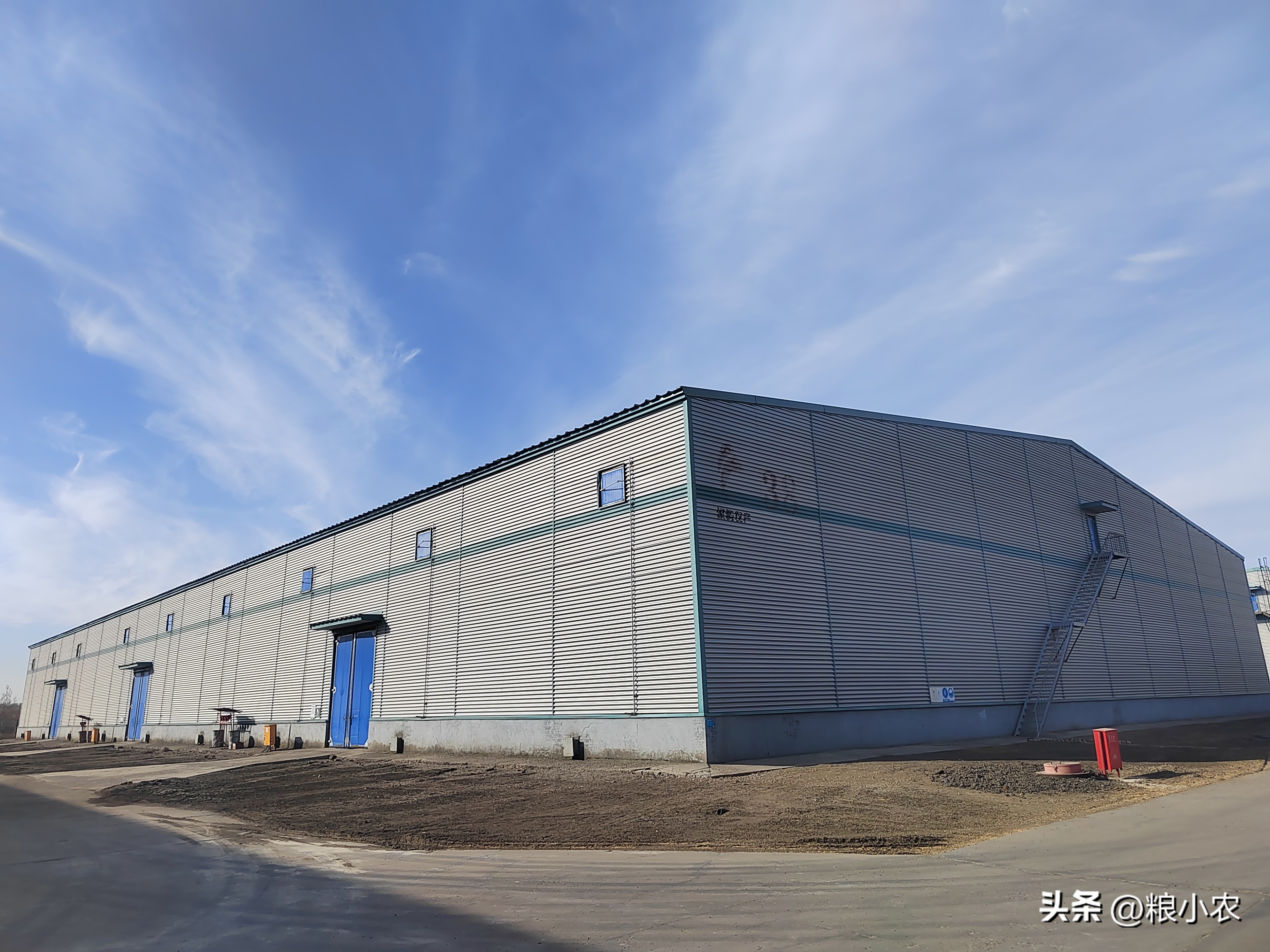 黑龙江粮食储备库有多少,黑龙江最大粮仓