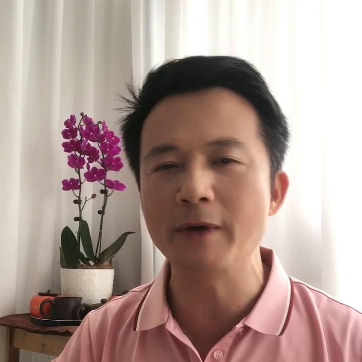 就事论事全集视频,就事论事完整版