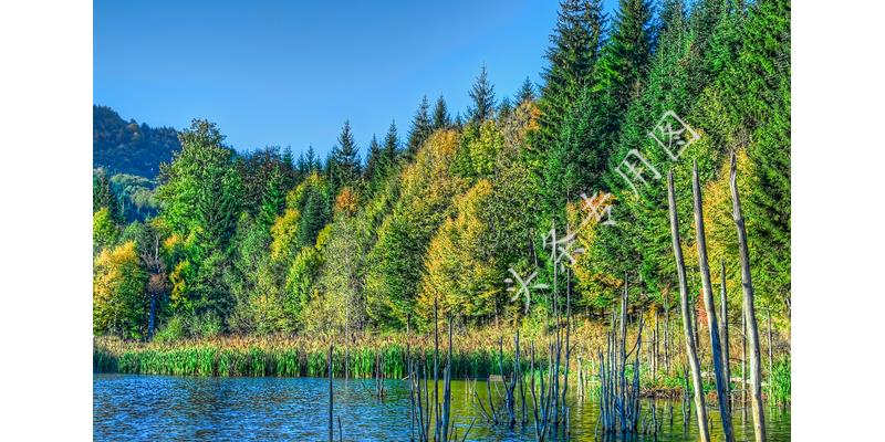 未婚老伴工资12500，却说只有2500，儿子告诉我真相我哭了