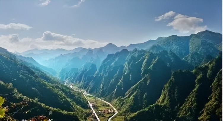 【重庆农特产品】城口香菇