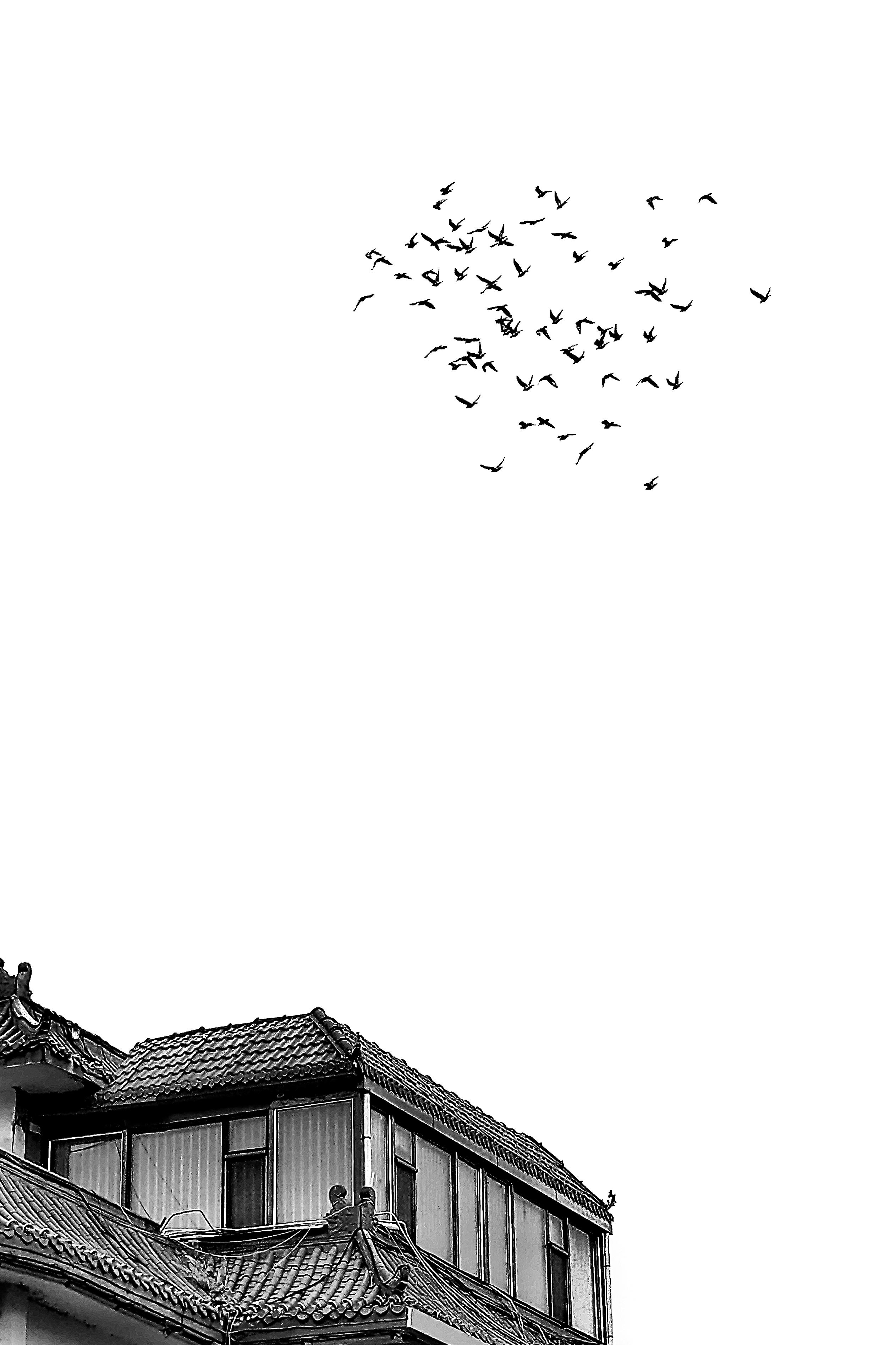 隔离日记隔离生活,隔离日记