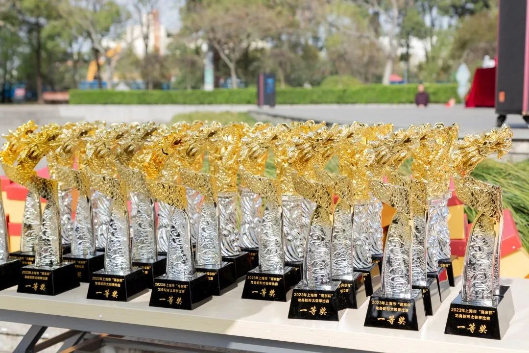 2023年“高东杯”龙身蛇形太极拳比赛在高东公园圆满举行