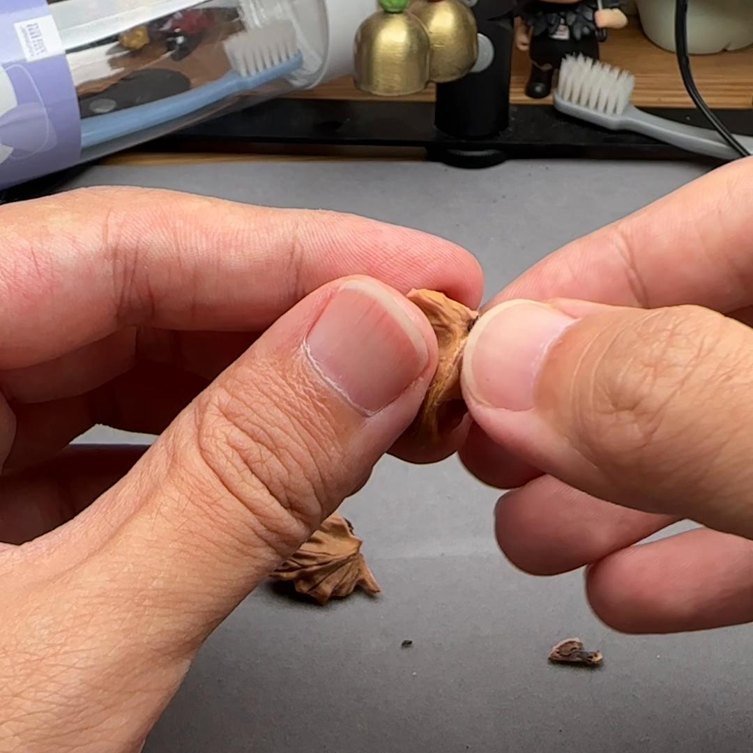 新核桃封脐好还是封闭好,核桃封底好还是不封好