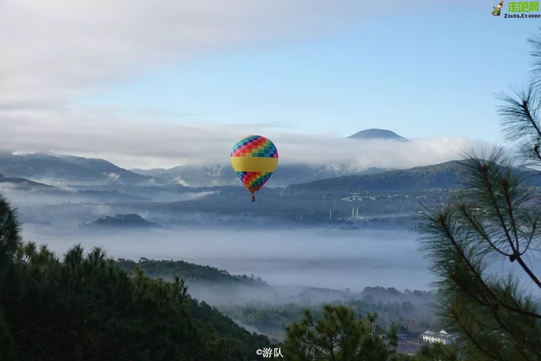 年度最佳22℃暖冬小城!全国唯一半城银杏,半城温泉!现在来刚好