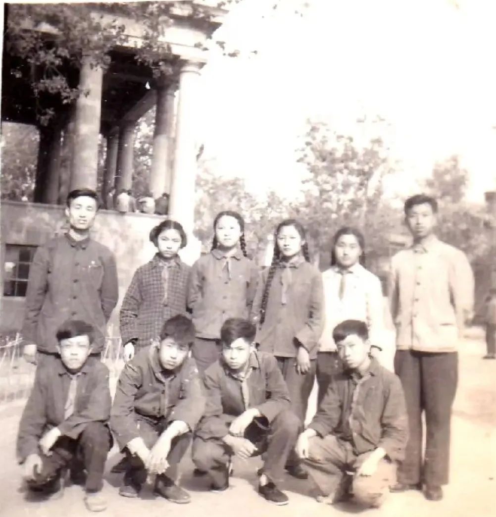 金蔷薇故事摘抄,金蔷薇故事