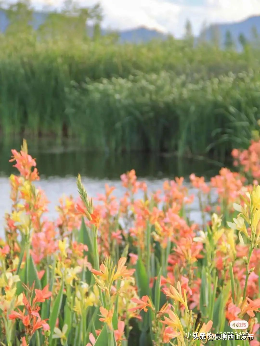 西山区多少度,西山海拔有多少米