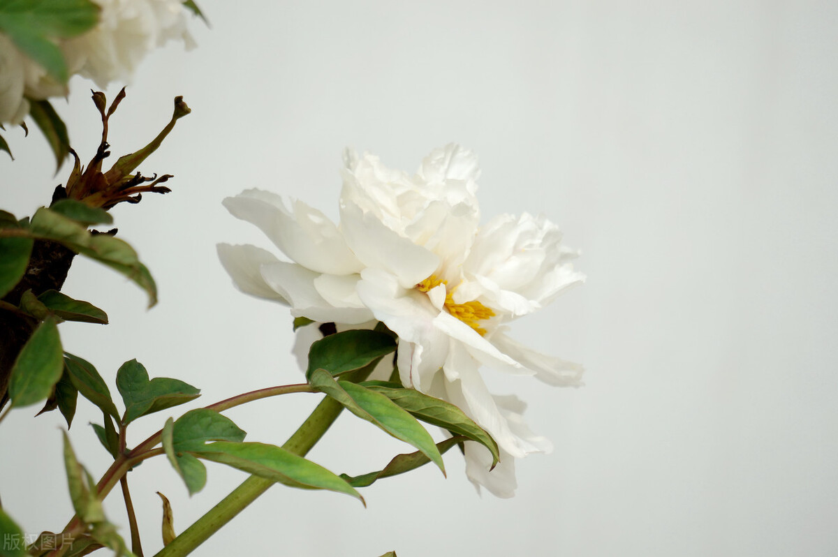 老公再爱我一次电视剧全集,老公再爱我一次全文免费阅读