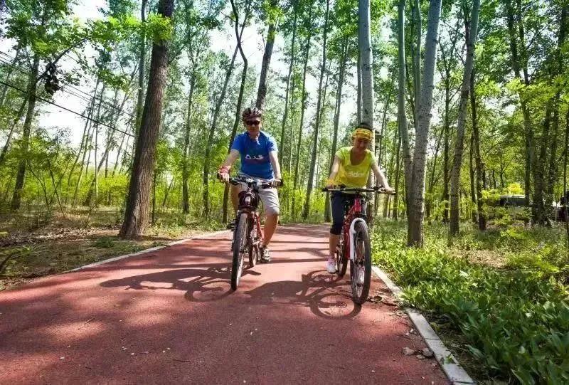 新区骑行休闲体育旅游线路获评2022年“河北省体育旅游精品线路”