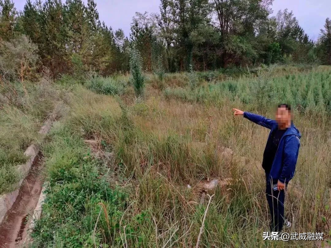 重要通告速看视频,重要通知速看全文