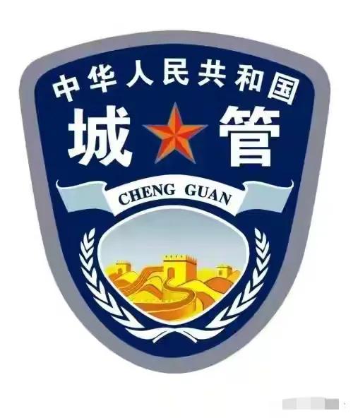 璺汉鍔濋樆鍩庣琚墦,鍩庣琚墦涓庢憡璐╁啿绐佸悗琚牭鍚庣画