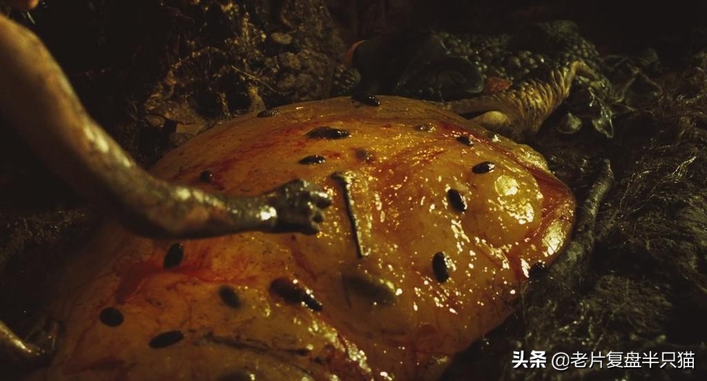 没看懂潘神的迷宫,潘神的迷宫深度讲解