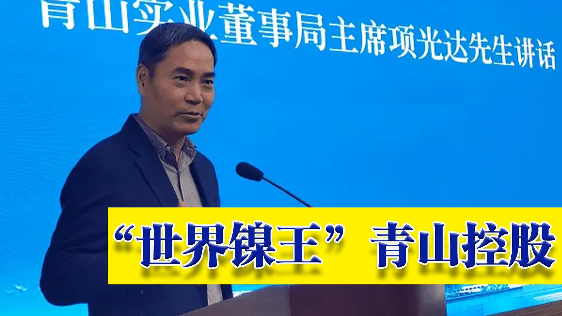 青山控股怎么拿出来的镍,青山控股的镍是什么品种