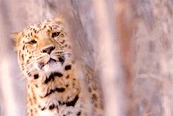 隔壁的单亲妈妈来我家借跑步机,但是为什么她还穿高跟鞋?: