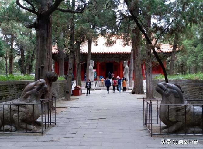 孔子的墓为何被称为孔林,孔子真正的墓穴在哪里