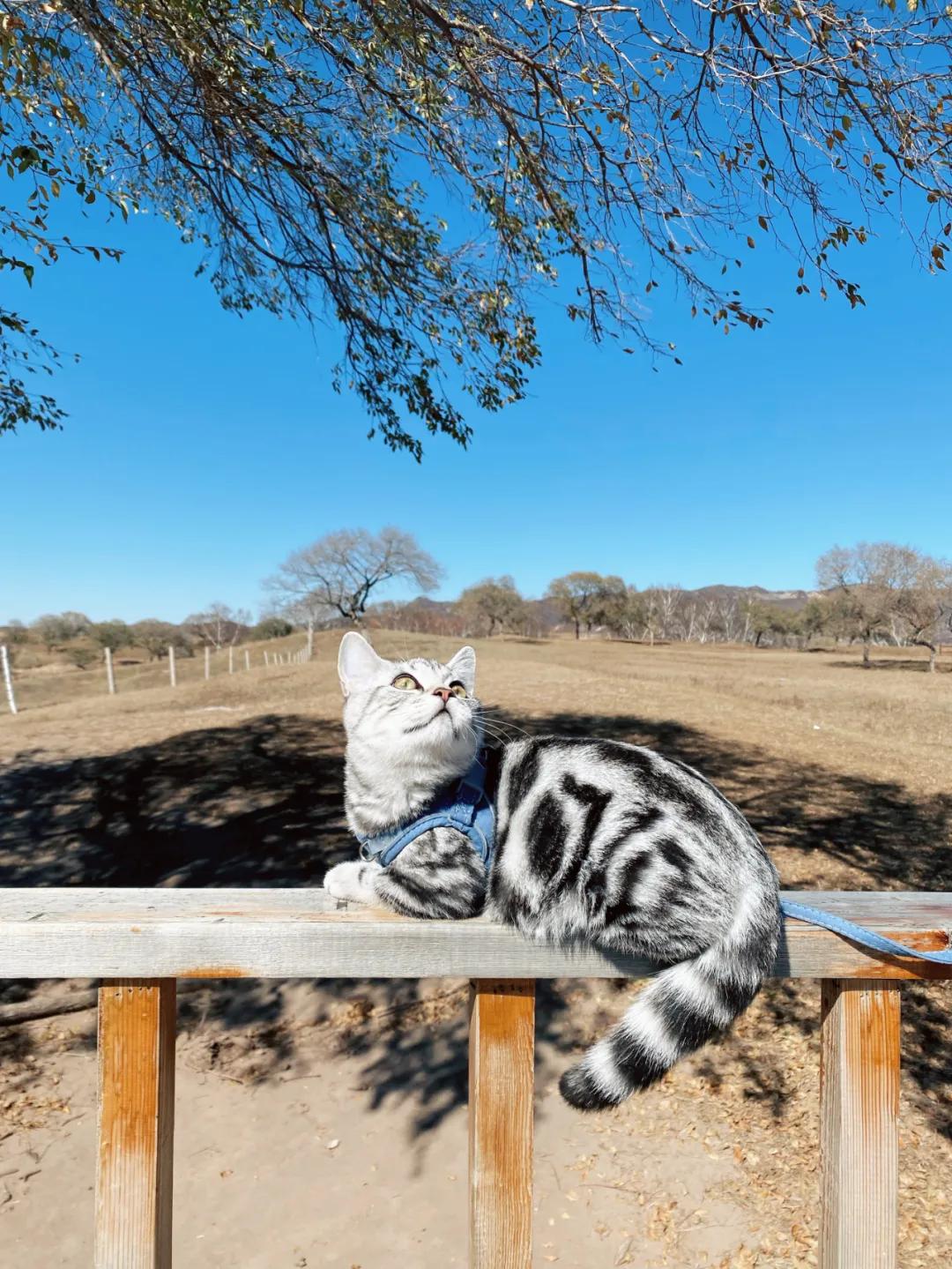 2021年今年的钱好挣吗,2021年钱更难赚吗