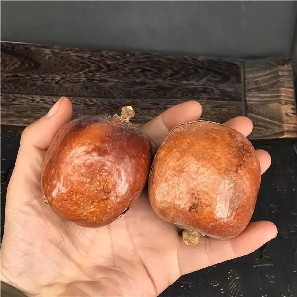 不要钱的文玩,不值钱但玩得好的文玩