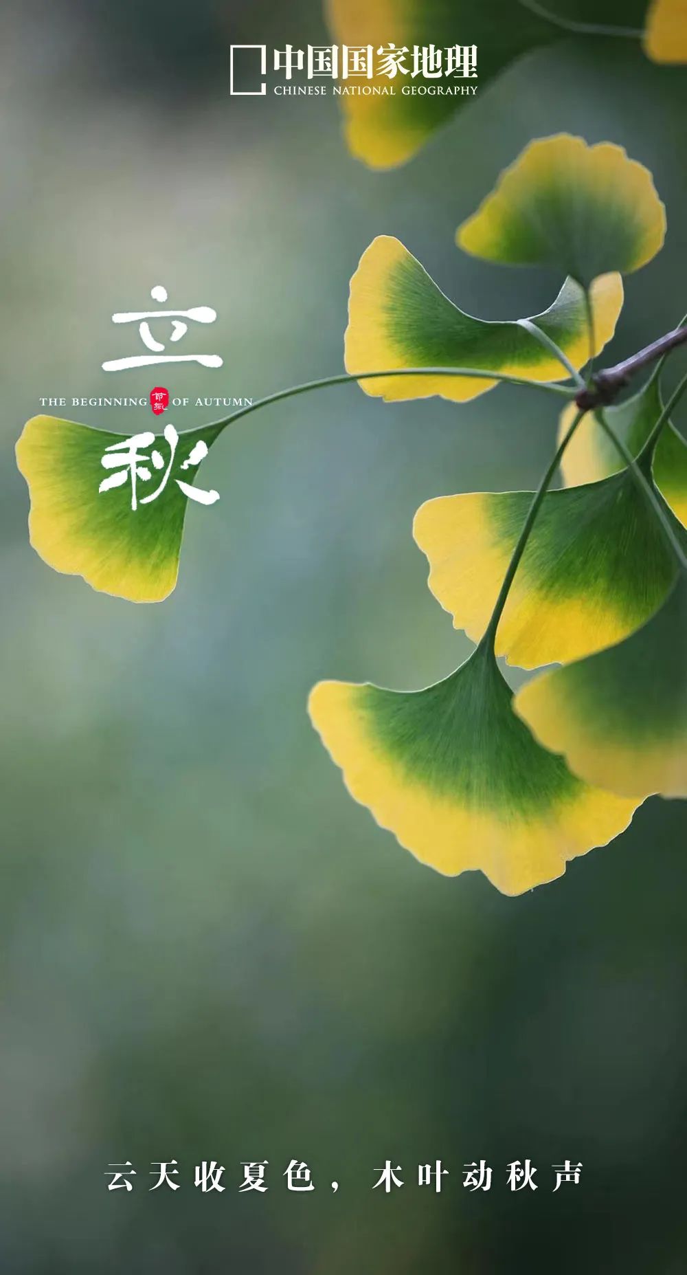 一年中最有智慧的节气图片,365天最美24节气图诞生惊艳国人