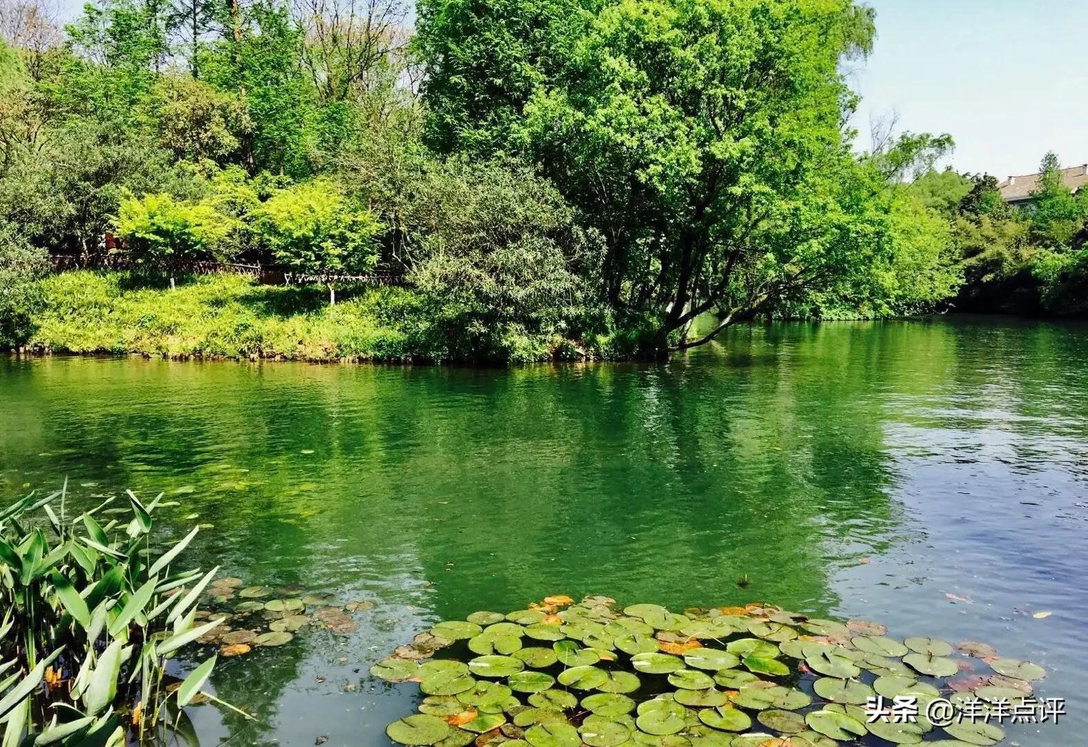 临安大明山景区游玩攻略大全,临安天目山景区旅游攻略图片