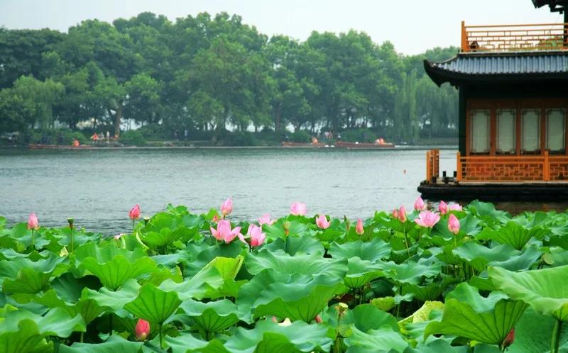 西湖美景图片真实壁纸,杭州西湖风景壁纸全屏