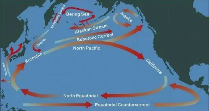 别人问你喝水吗高情商回答,别人问喝什么水怎么回答