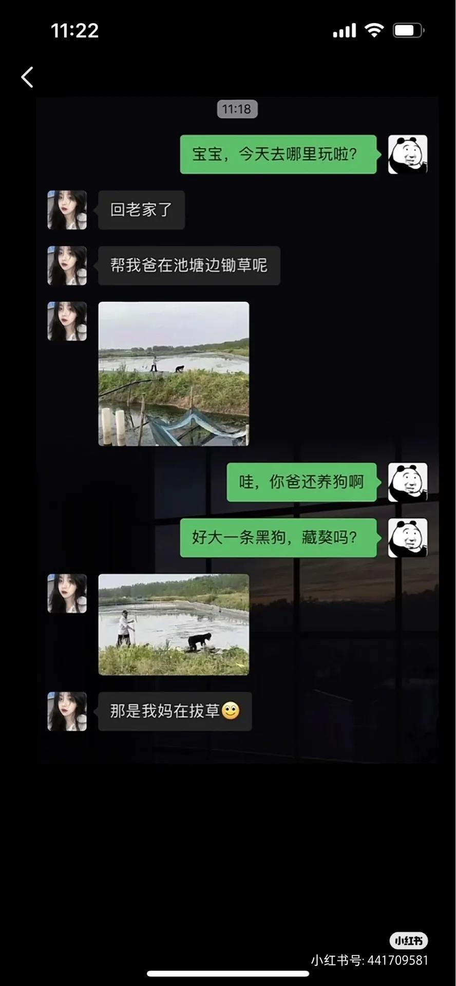 夫妻间的爆笑聊天记录,群聊爆笑聊天记录