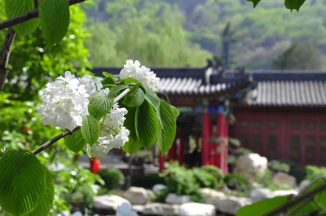 春日来信,春日来信与美好不期而遇