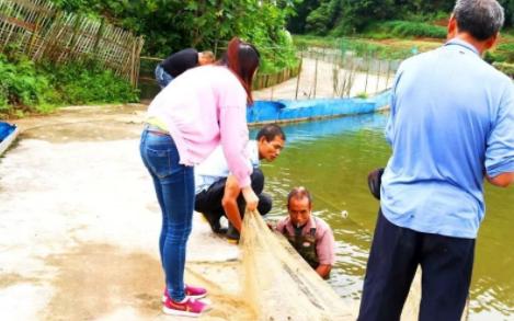 大闸蟹有什么商机,养殖大闸蟹一年可以赚多少钱