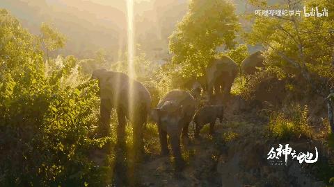 超全北京游玩攻略,国庆京郊一日游