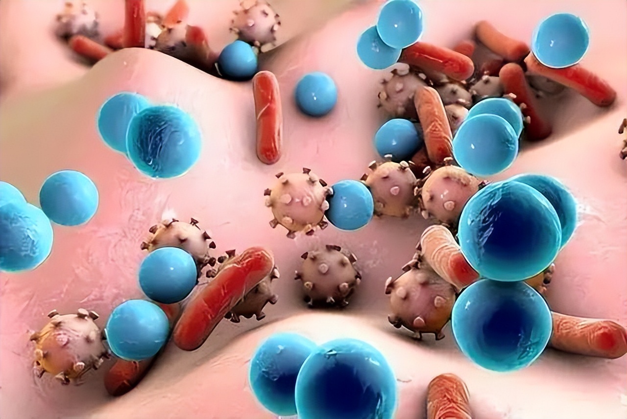 阿莫西林不是消炎药真正的消炎药,阿莫西林是真正的消炎药吗