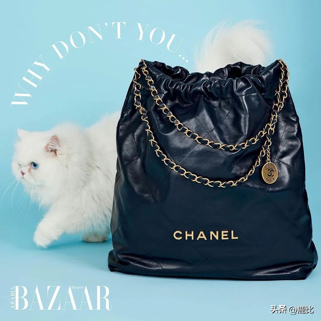 goyard单肩包评测 (真假包包对比goyard双肩包)