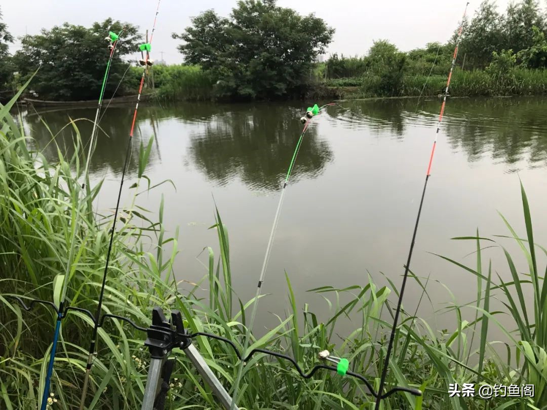 钓汪刺打窝技巧,冬季钓汪刺打窝技巧