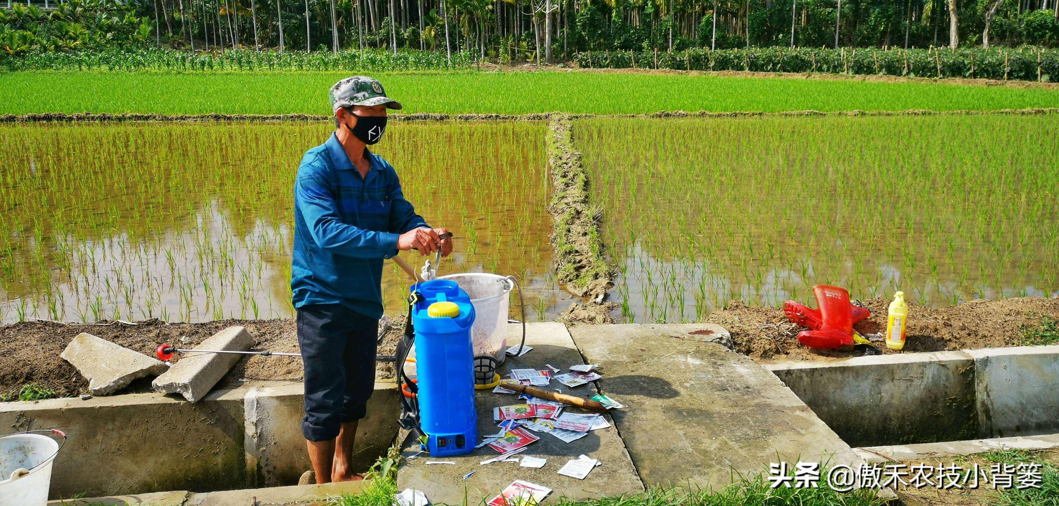 杀虫剂吡虫啉好还是啶虫脒好,杀虫剂吡虫啉的特性及使用方法