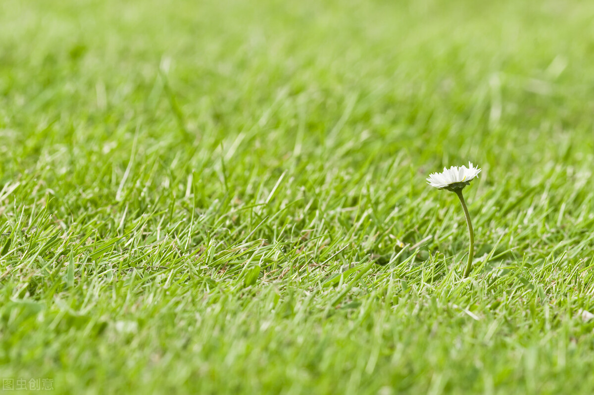 一个中成药，能治脾肾阳虚，也能治疗泄泻
