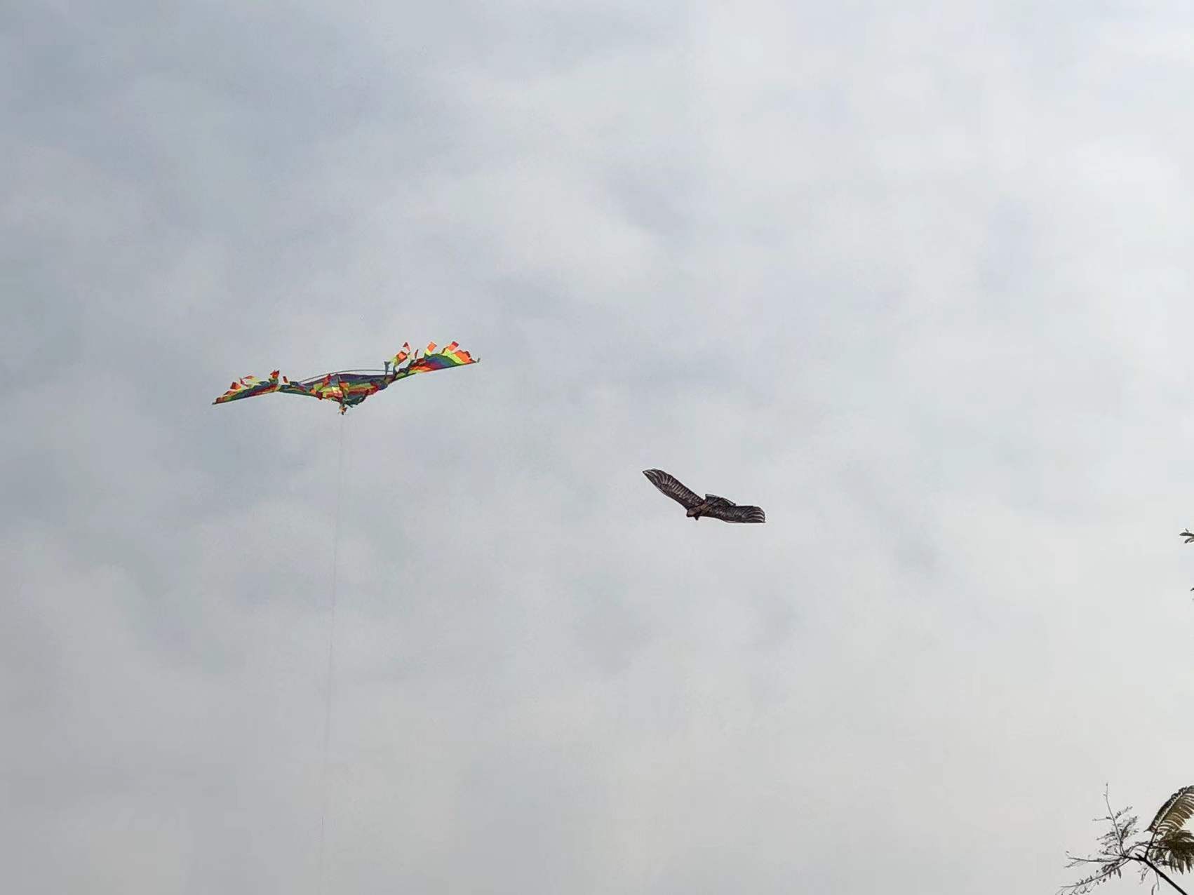 春暖花开我们一起去踏青,春暖花开我们共赏樱花