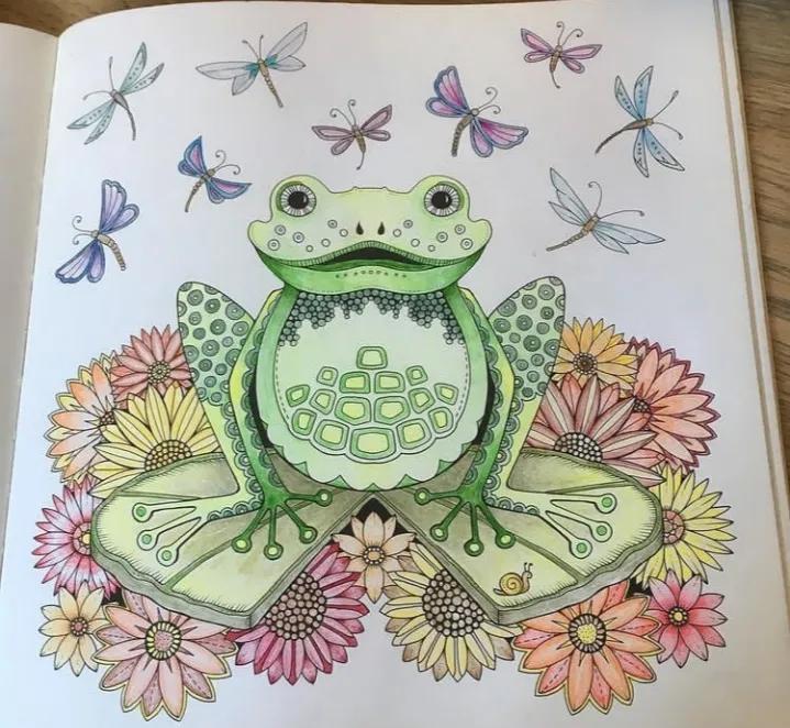 100幅初学者彩铅画花卉,100张新手彩铅临摹图片