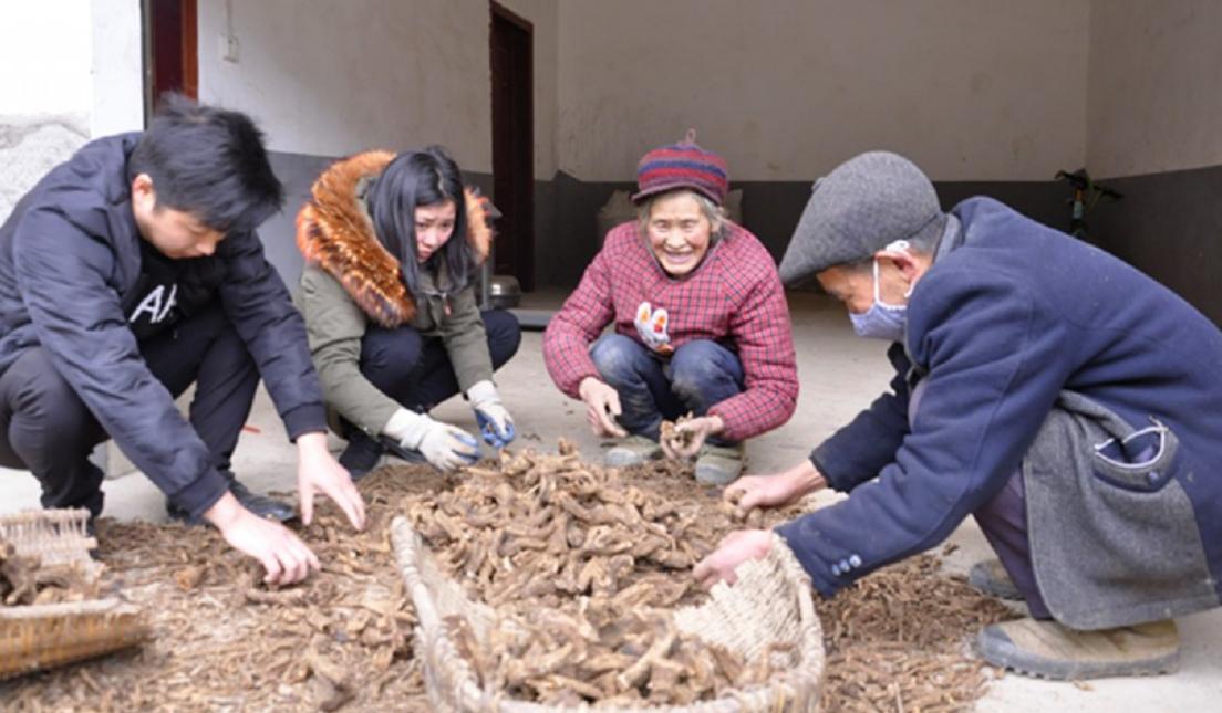 四川老汉挖出250斤人形树根,四川男子挖到人形树根