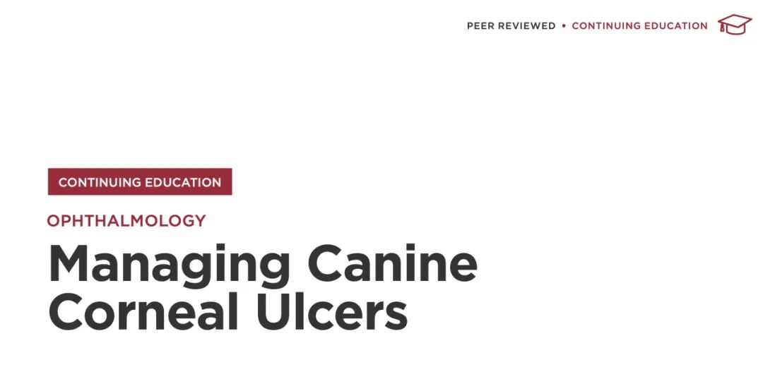 犬角膜溃疡能用激素吗,眼角膜溃疡怎么治