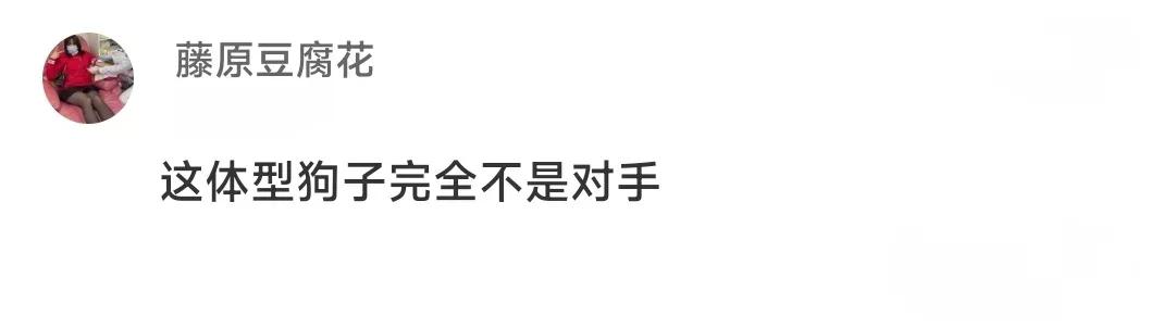 吸血鬼真正的进食方式,海底的吸血鬼进食