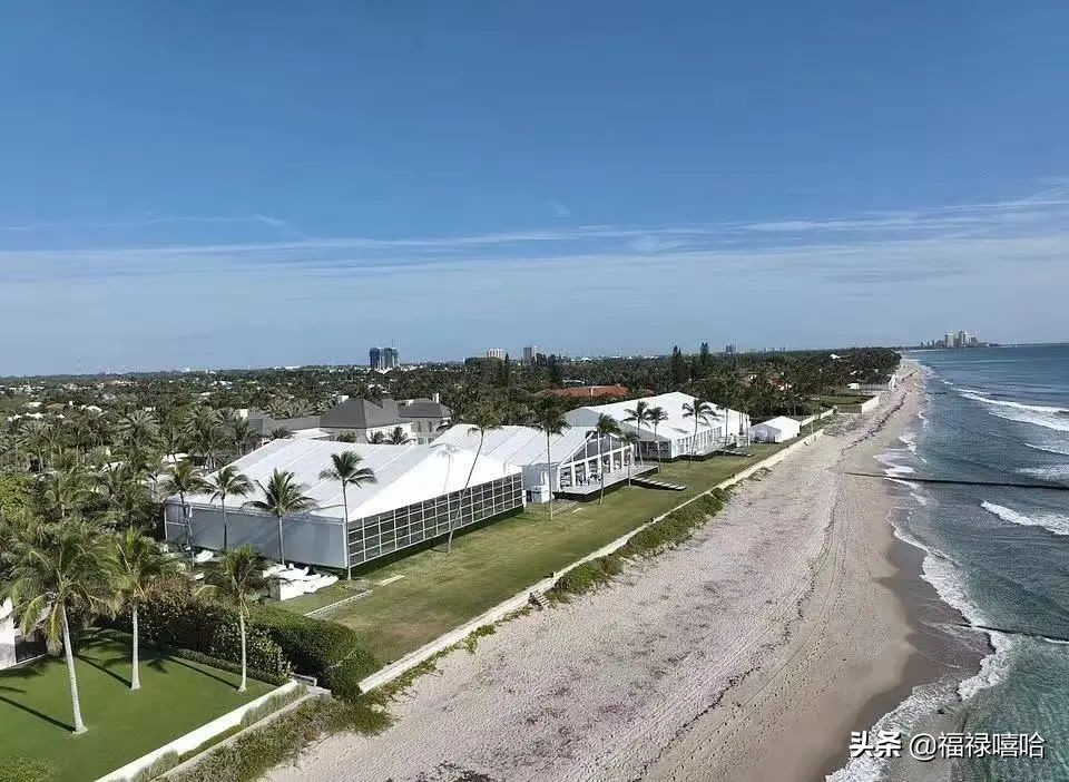 520明星撒糖,明星520特别表白婚礼