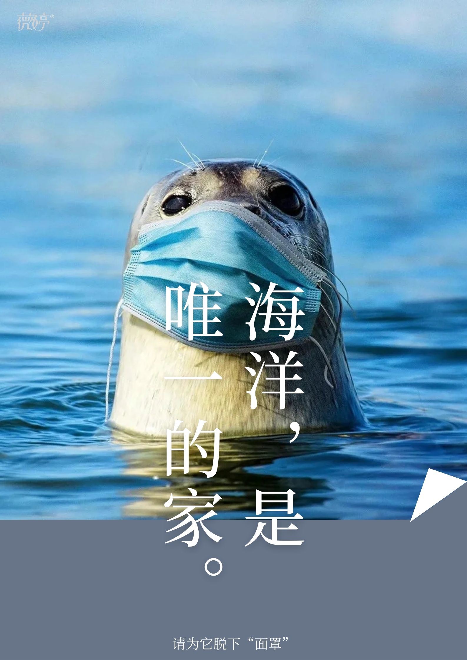 20324曹婷薇婷脱毛膏广告创意