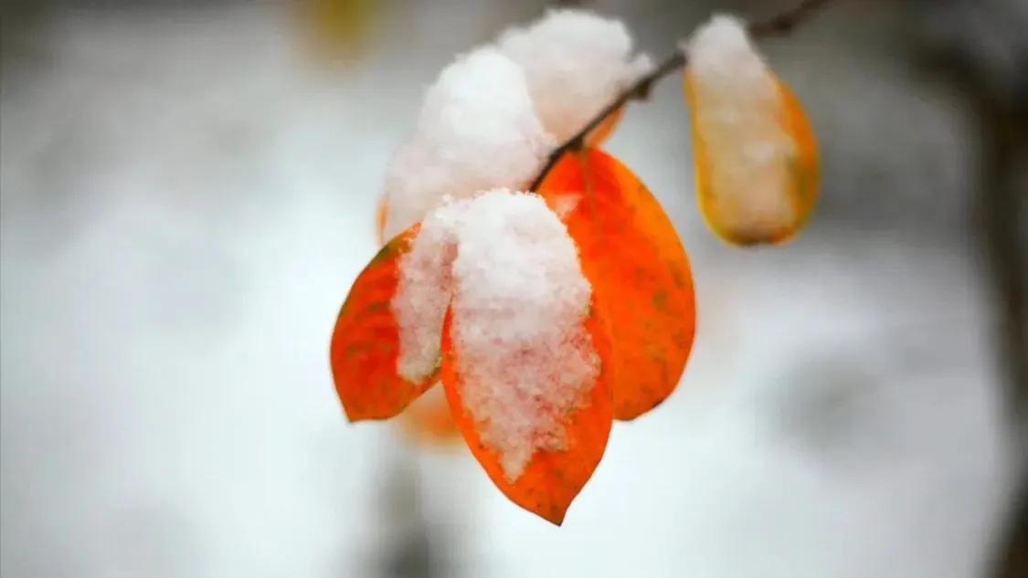 随笔：盲目囤药就是蠢