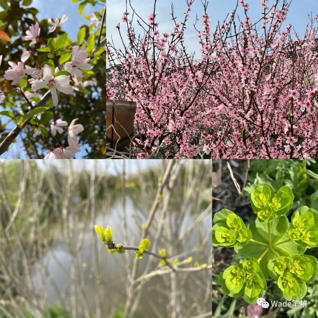 不要问我过得好不好完整版,不要问我过得好不好图