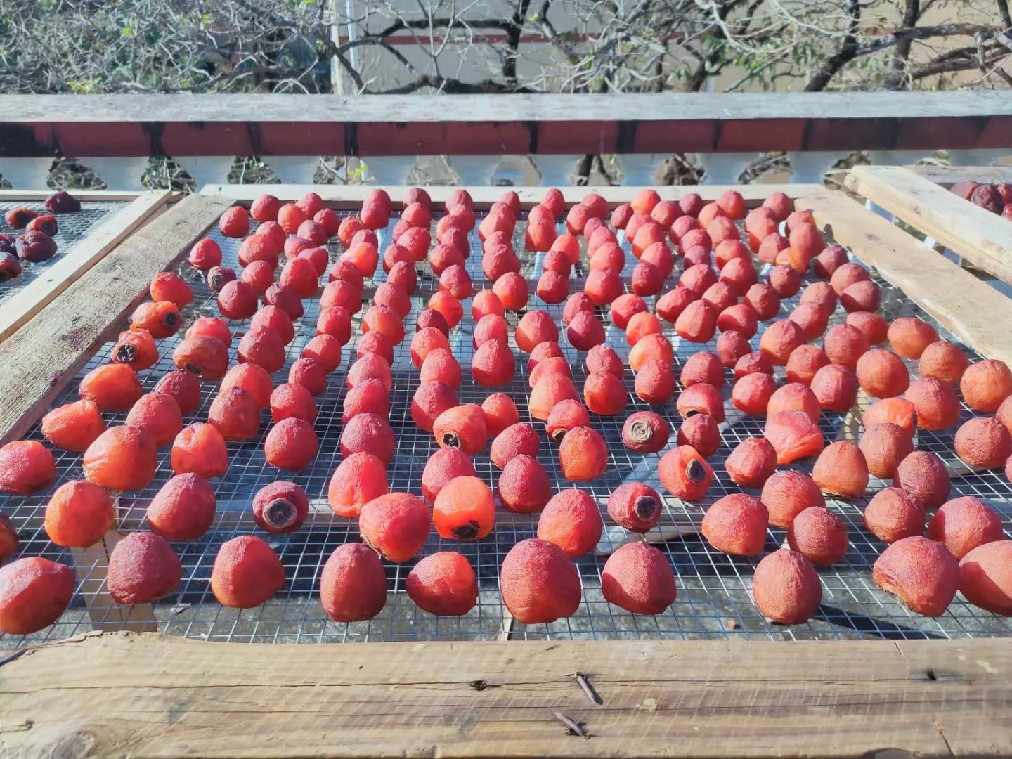 野柿子怎么晒干,硬柿子削皮晒干