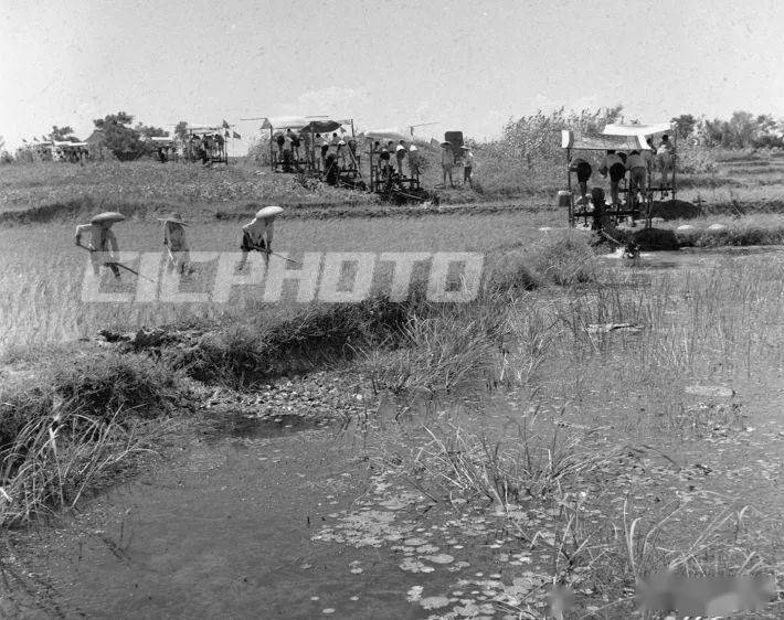 斗湖堤城区图,斗湖堤镇历史