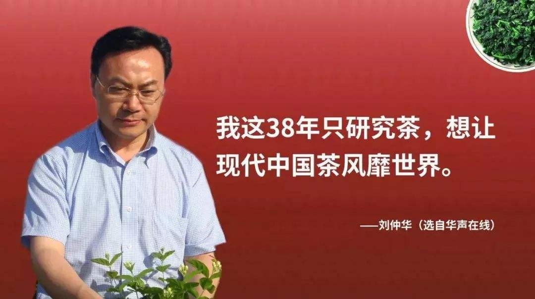 最新经营茶叶策略,茶叶品牌策划全套案例分享