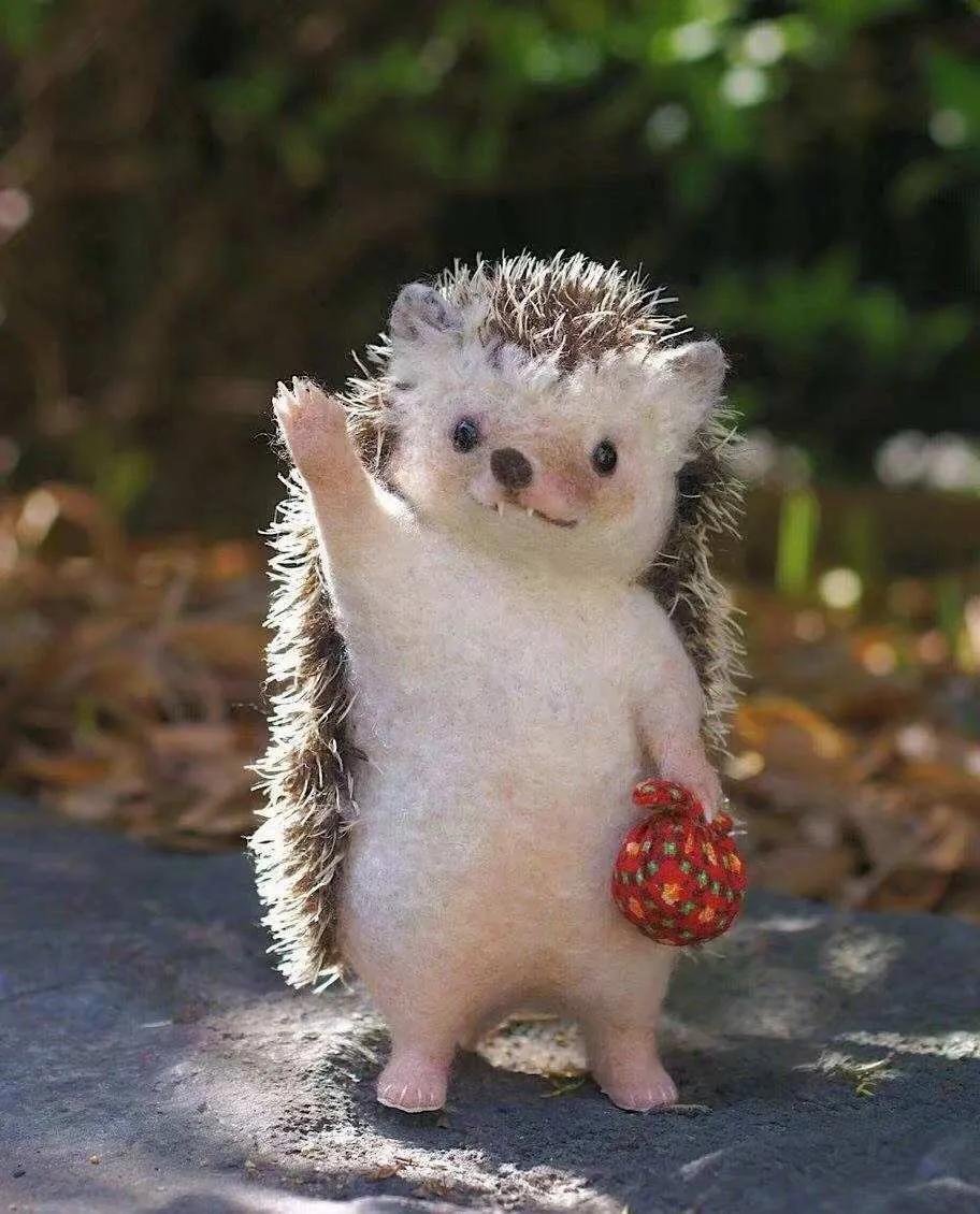 刺猬该怎么拥抱自己,刺猬怎么会有拥抱呢