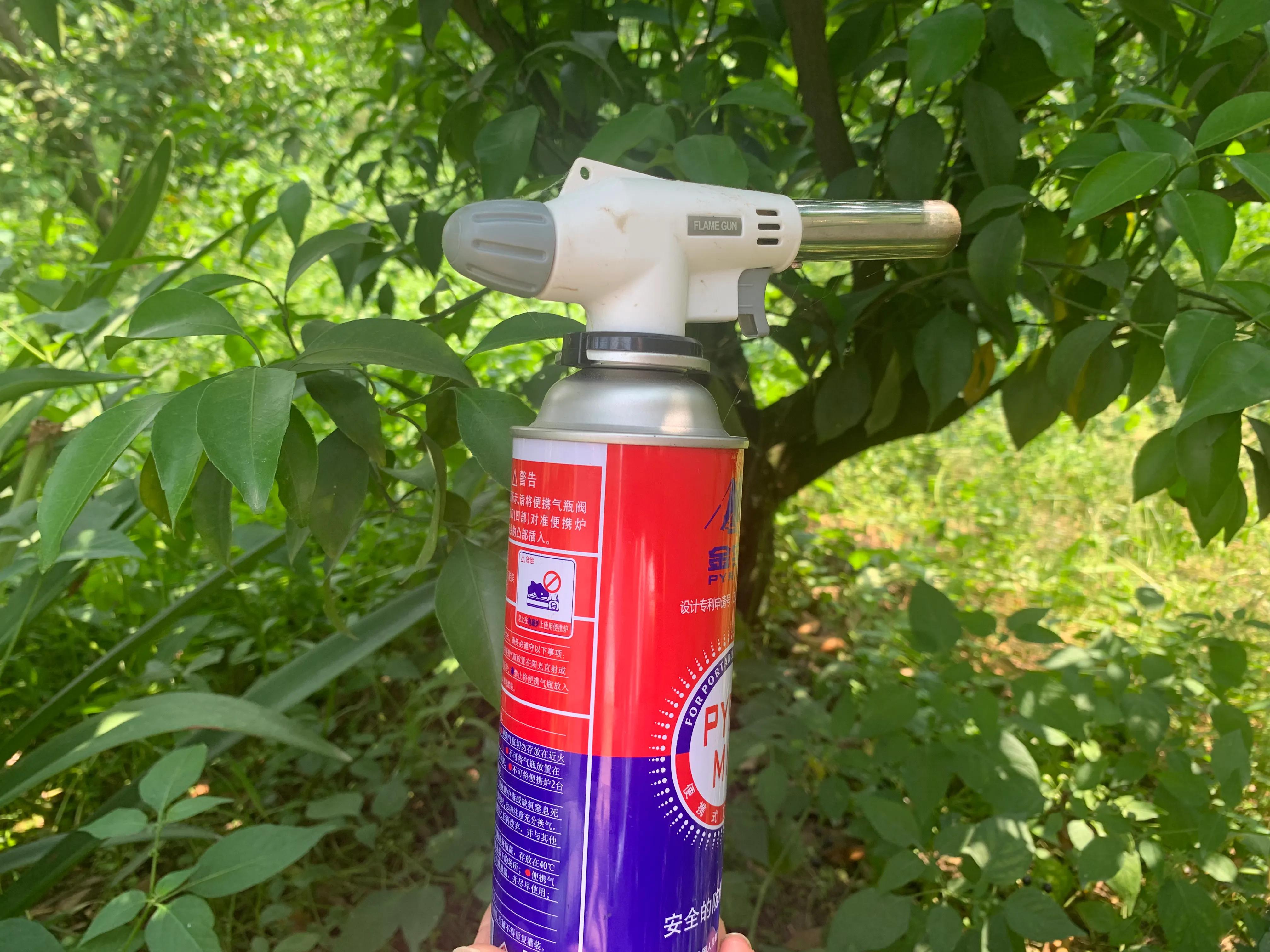 柑橘流胶病最佳治疗方法,柑橘流胶病最佳防治方法