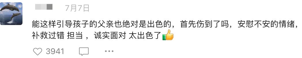 有一个情绪稳定的爸爸是什么体验,情绪稳定的爸爸