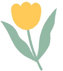 深圳宝安区两日游,深圳宝安区一日游推荐自由行