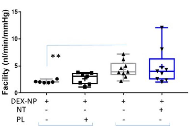 rho激酶抑制剂多少钱,rho激酶抑制剂是什么